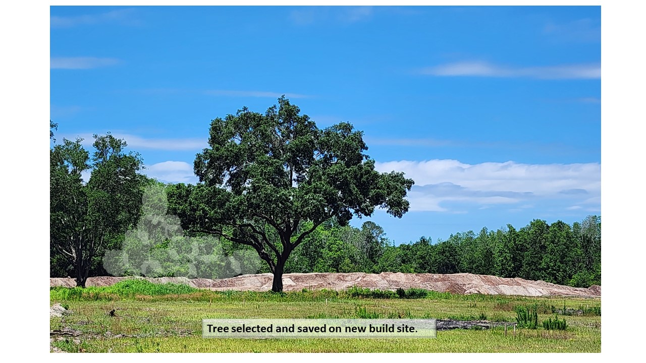 Tree selected and saved on new build site banner