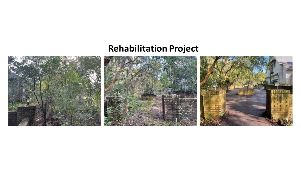 Rehabilitation Project Images Collage
